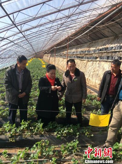 中國“以螨治螨”技術(shù)讓內(nèi)蒙古同胞看到綠色希望