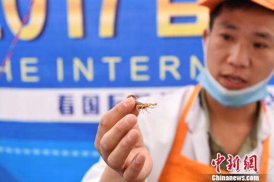 �D��̩��(gu��)���x���ϰ�����������x�������G�� �z