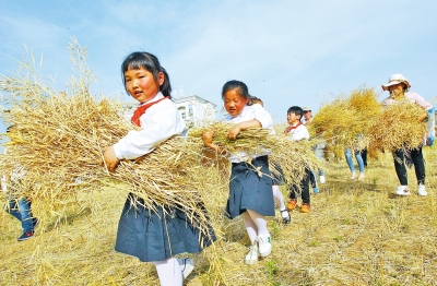 ����һС�W�Ђ��r(n��ng)Ȥ�@ �����������@���N�����ի@