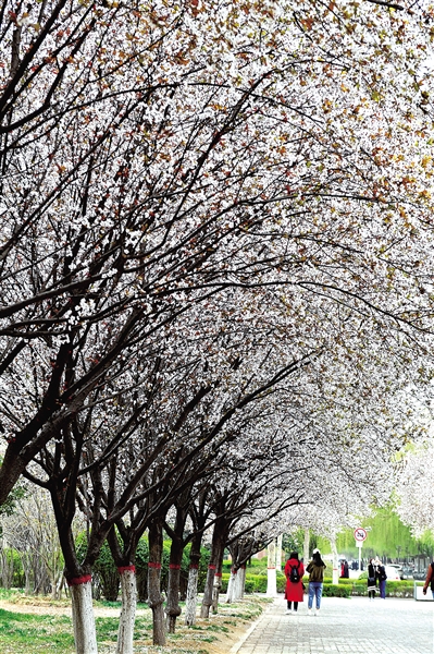 �ο�̫���У�o(w��)����܇���� ���M(f��i)�������������?