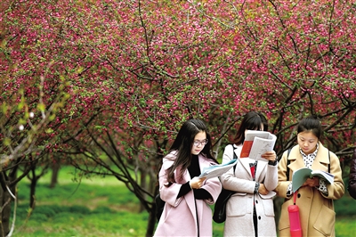 �ο�̫���У�o(w��)����܇���� ���M(f��i)�������������?