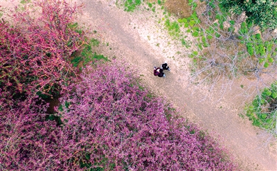 �ο�̫���У�o(w��)����܇���� ���M(f��i)�������������?