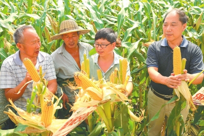 ������g�ƽ�����r�񡰺ü��С�