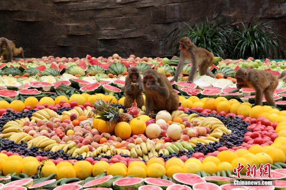 8000��ﳬ��(j��)ˮ��ƴ�P��Ո(q��ng)����������