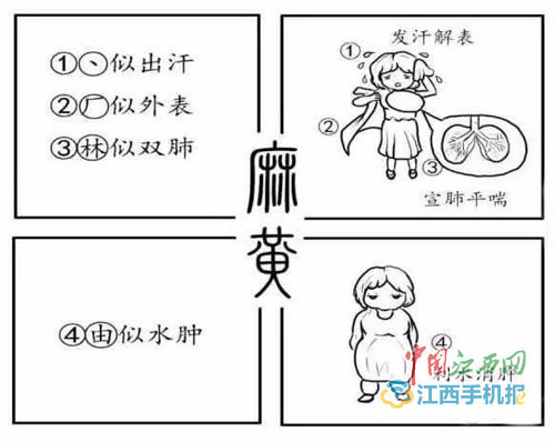 中藥竟可以這樣學(xué)!高校中藥漫畫書受熱捧