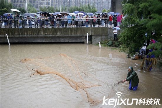 武漢暴雨沖來大魚 市民自帶漁網當街捕魚
