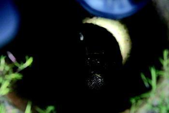 ��(j��)������ַ��J(r��n)��ˮ���_(k��i)偡�ϵ����ǰ�ף���Ȼ�F(xi��n)��