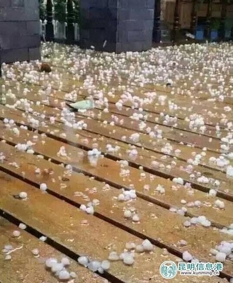 麗江暴雨致古城被淹 微博圖片