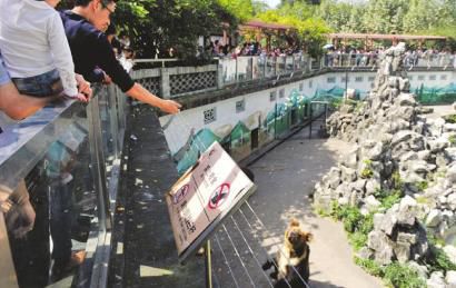 2�����ɶ�����@���οͲ��ֹ���Z�����������ιʳ��