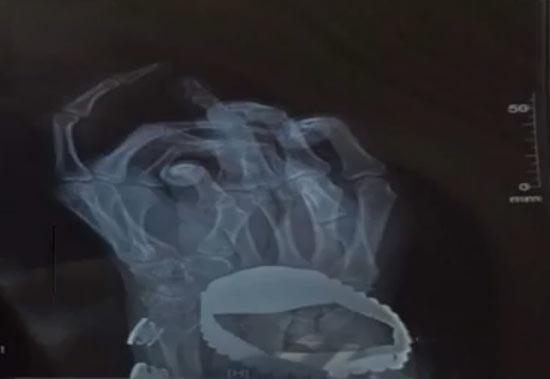 С����ָ�������С��ٲݿݡ� ����ǰŮ�ш��(f��)