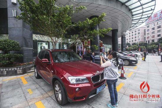 天降大樹插進(jìn)寶馬車 市民圍觀拍照(圖)