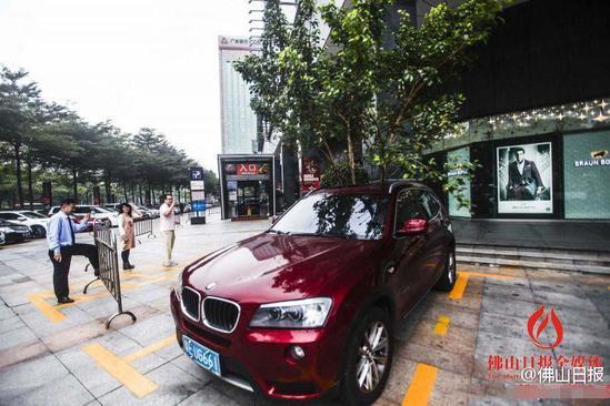 天降大樹插進(jìn)寶馬車 市民圍觀拍照(圖)