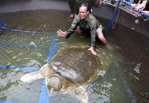 Խ��340��������M������ �e������(d��ng)(�D)