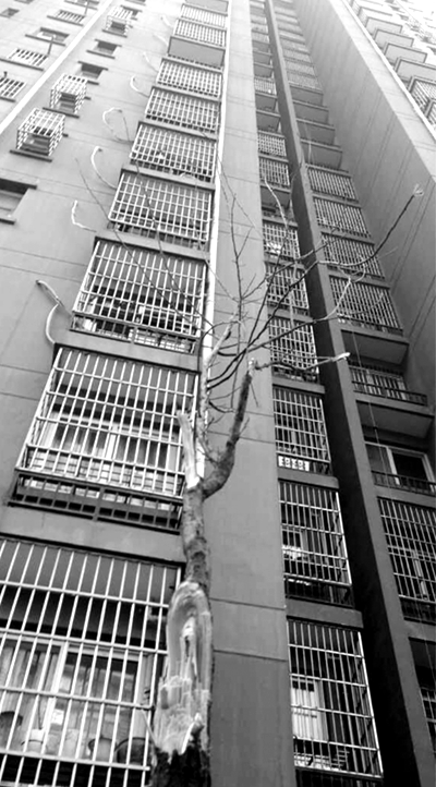 СŮ���Ę��ϵ��r(sh��)�ě_��������֦���Ҕ�����