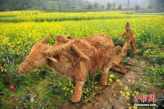 重慶油菜花地擺放大型稻草動物 吸眼球