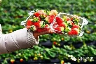 ��ݮ��ժ�@��؈ā������͵͵��ˎ �����u(m��i)�o�ο�(�D)