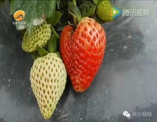 ��ݮ��ժ�@��؈ā������͵͵��ˎ �����u(m��i)�o�ο�(�D)2