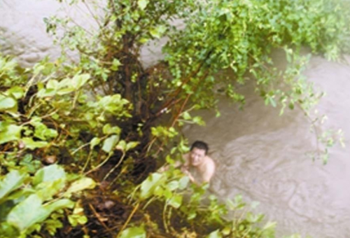 QQ截圖20160812213428