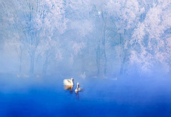 “貴在責(zé)任 貴在關(guān)愛”第四屆全國攝影大賽五月賽獲獎名單揭曉
