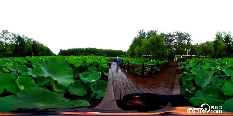 ���@һ��������ҕ�W(w��ng) ӛ�ߺδ��z��