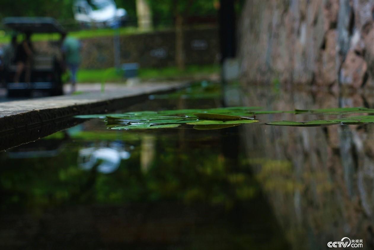 Ī��ɽС�(zh��n)����һ��ˮ�ء�����ҕ�W(w��ng) ӛ�ߺδ��z��