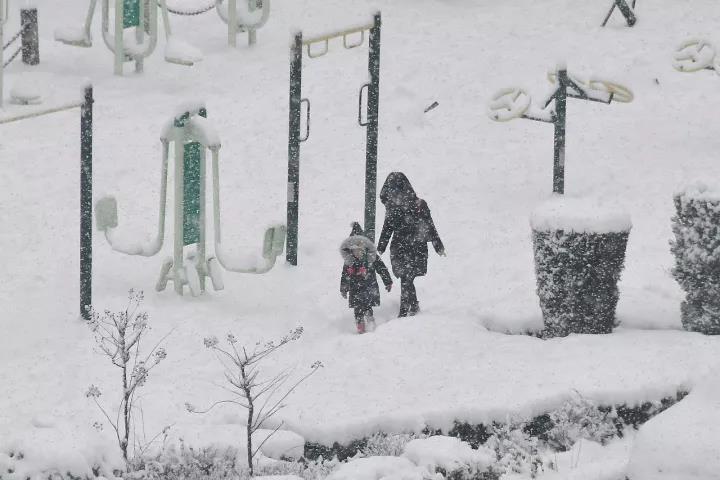 ���ӭ�붬����͜����@Щ�ط��K��ӭ����ѩ����