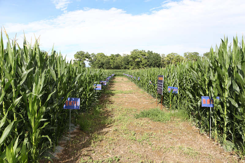 VӿhP(gun)(zhn)ʮմr(nng)I(y)ԇ(yn)ʾc(din)