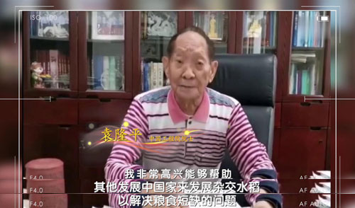 �@λ��90��׌����1/5���˳�����